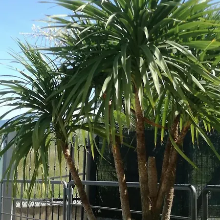 Residenza Orchidee * Lazise