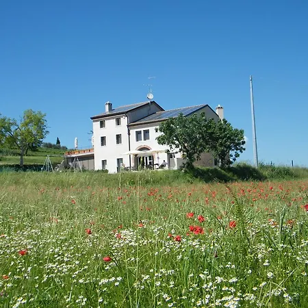 Le Coste * Lazise
