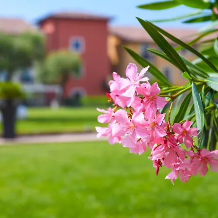 Th - Parchi Del Garda