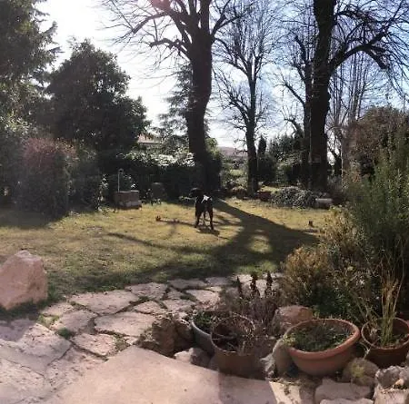 La Familia Lazise