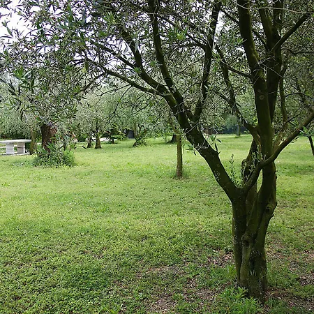 Bed & Breakfast San Giorgio Lazise Lcazione Turistica