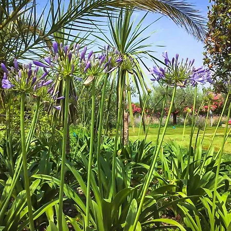 Agricampeggio Oasi Del Garda