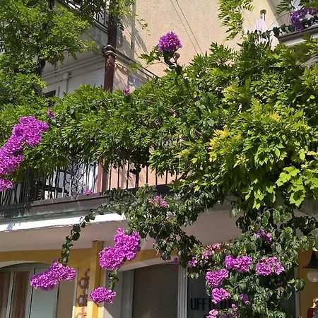 Apartment Al Glicine *