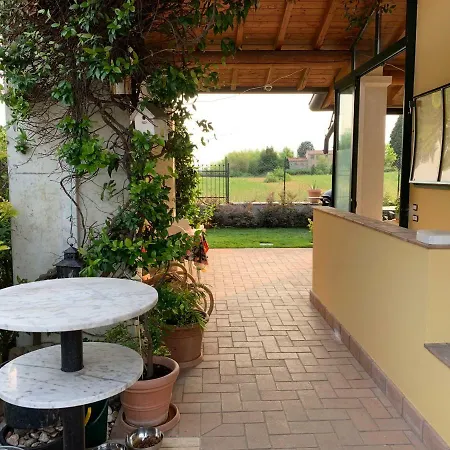 Mimosa Lazise