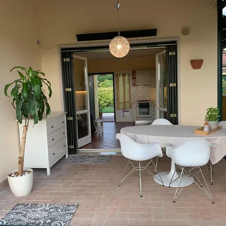 Mimosa Lazise