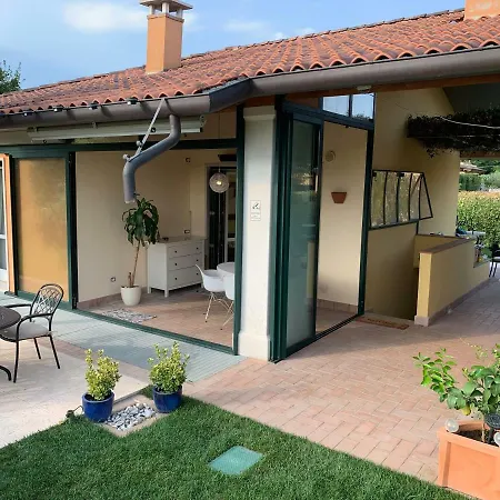 Mimosa * Lazise