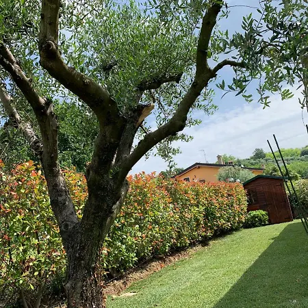 Mimosa Villa *