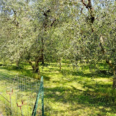 With Private Garden, About 1 Km From The Lazise