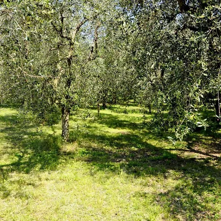 Holiday home With Private Garden, About 1 Km From The