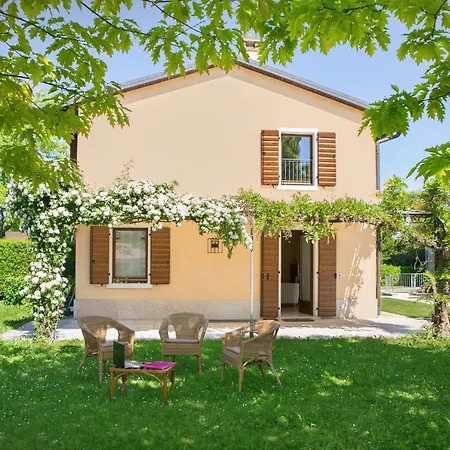 Rosmarino *