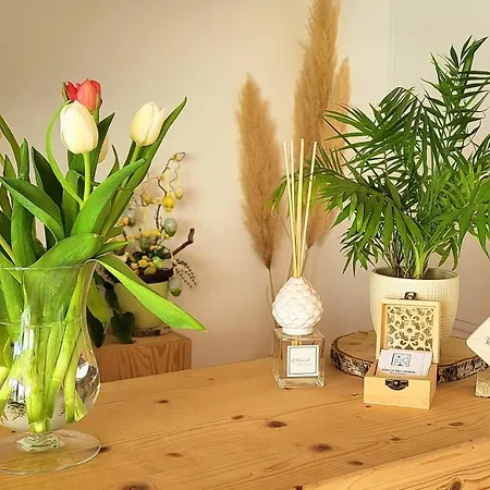 Bed & Breakfast Stella Del Garda 2*
