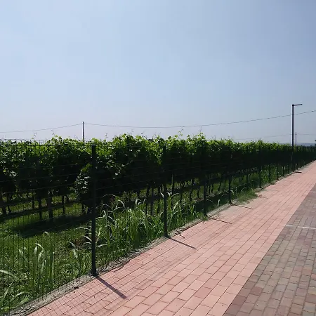 Stella Del Garda Lazise